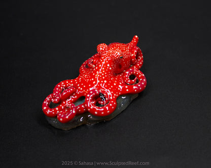 ASTRA - Shelltopus (Medium) - OOAK Starry Night Octopus Sculpture