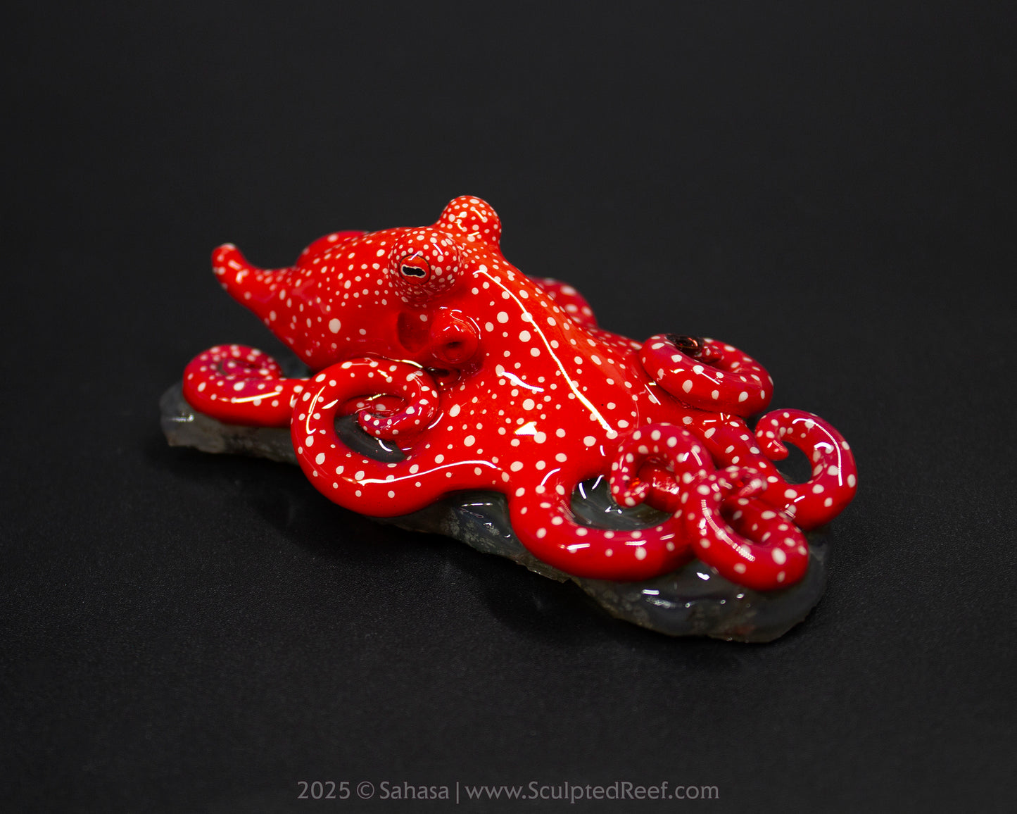 ASTRA - Shelltopus (Medium) - OOAK Starry Night Octopus Sculpture