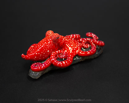 ASTRA - Shelltopus (Medium) - OOAK Starry Night Octopus Sculpture