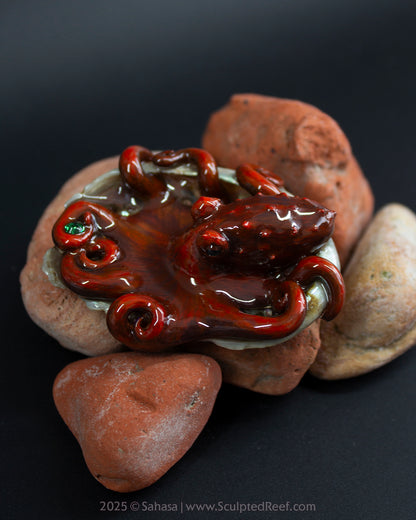 JASPER - Shelltopus (Baby) - OOAK Giant Pacific Octopus Sculpture