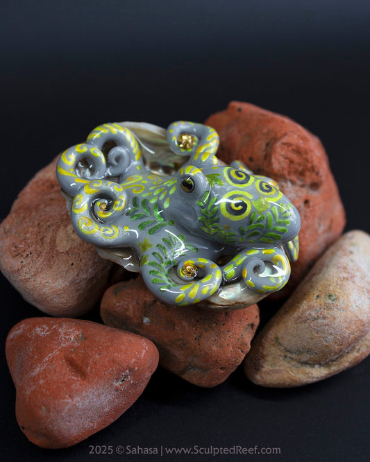 FELIX - Shelltopus (Baby) - OOAK Octopus Sculpture