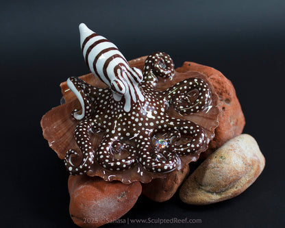 ZEPHYR - Shelltopus - OOAK Larger Pacific Striped Octopus Sculpture