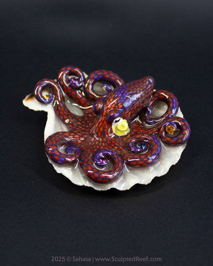 PEYTON - Shelltopus - OOAK Coconut Octopus Sculpture