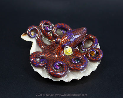 PEYTON - Shelltopus - OOAK Coconut Octopus Sculpture