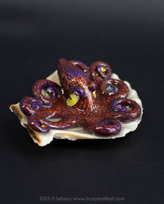 PEYTON - Shelltopus - OOAK Coconut Octopus Sculpture