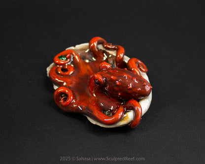 JASPER - Shelltopus (Baby) - OOAK Giant Pacific Octopus Sculpture