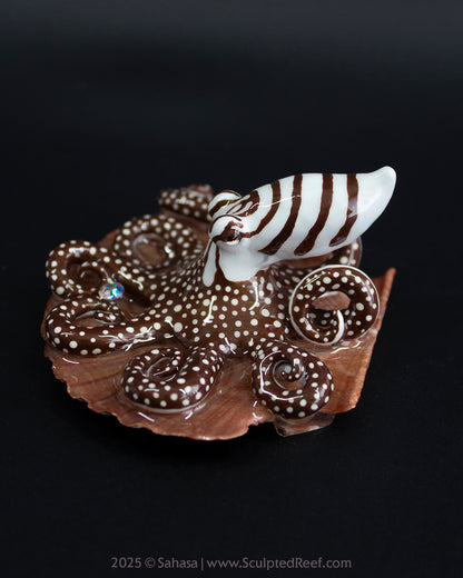 ZEPHYR - Shelltopus - OOAK Larger Pacific Striped Octopus Sculpture