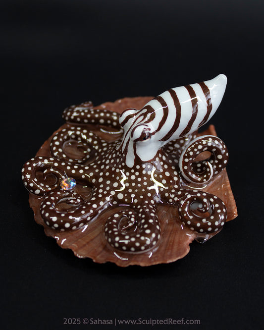 ZEPHYR - Shelltopus - OOAK Larger Pacific Striped Octopus Sculpture