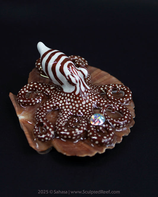 CALLAHAN - Shelltopus - OOAK Larger Pacific Striped Octopus Sculpture