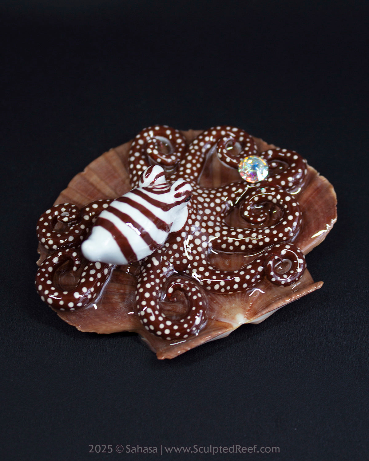 CALLAHAN - Shelltopus - OOAK Larger Pacific Striped Octopus Sculpture