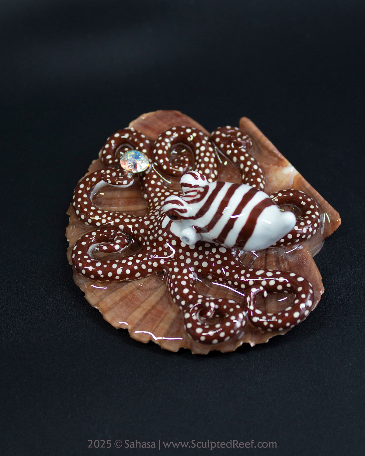 CALLAHAN - Shelltopus - OOAK Larger Pacific Striped Octopus Sculpture