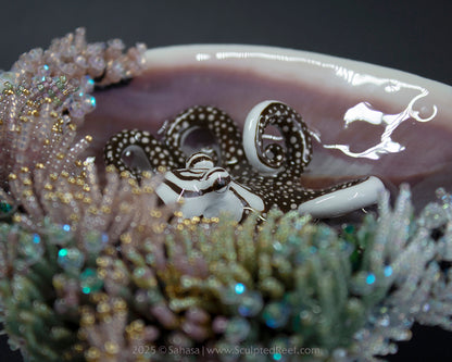 No.16 "Jewel" Sculpted Reef Series - Larger Pacific Striped Octopus Sculpture