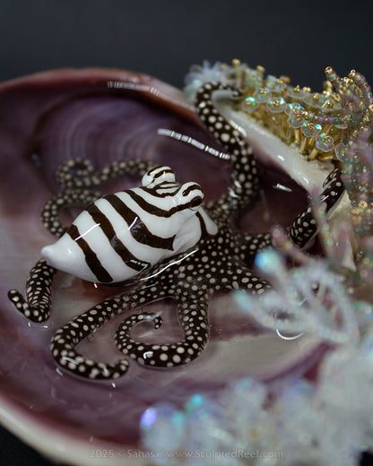 No.13 "Hyakinthos" Sculpted Reef Series - Larger Pacific Striped Octopus Sculpture