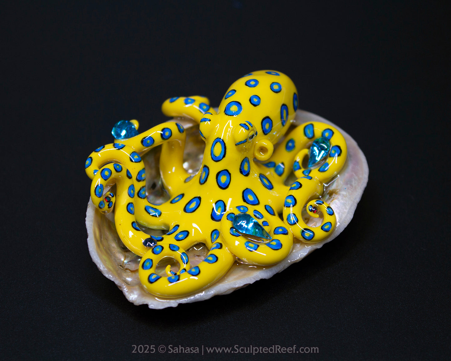 SOLI - Shelltopus - OOAK Blue Ringed Octopus Sculpture