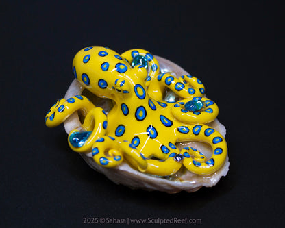 SOLI - Shelltopus - OOAK Blue Ringed Octopus Sculpture