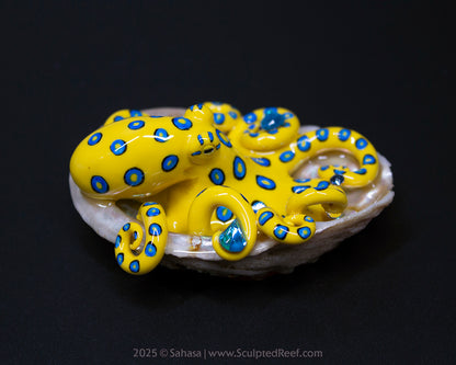 SOLI - Shelltopus - OOAK Blue Ringed Octopus Sculpture