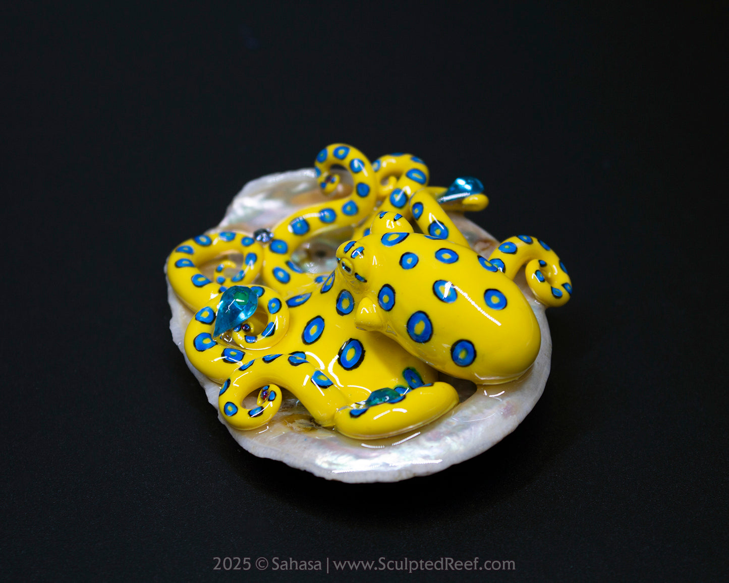 SOLI - Shelltopus - OOAK Blue Ringed Octopus Sculpture