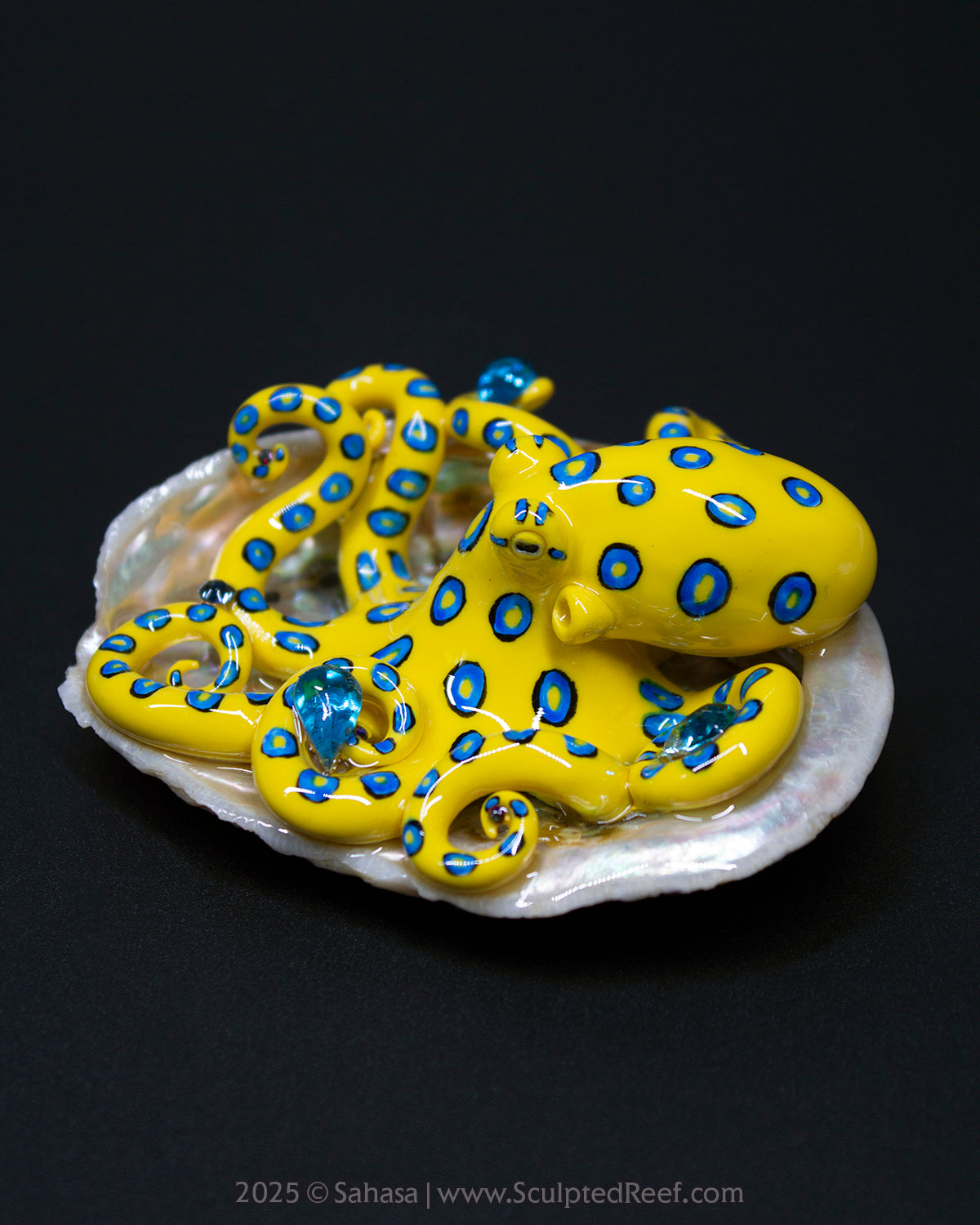 SOLI - Shelltopus - OOAK Blue Ringed Octopus Sculpture