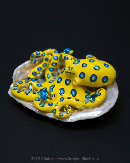 SOLI - Shelltopus - OOAK Blue Ringed Octopus Sculpture