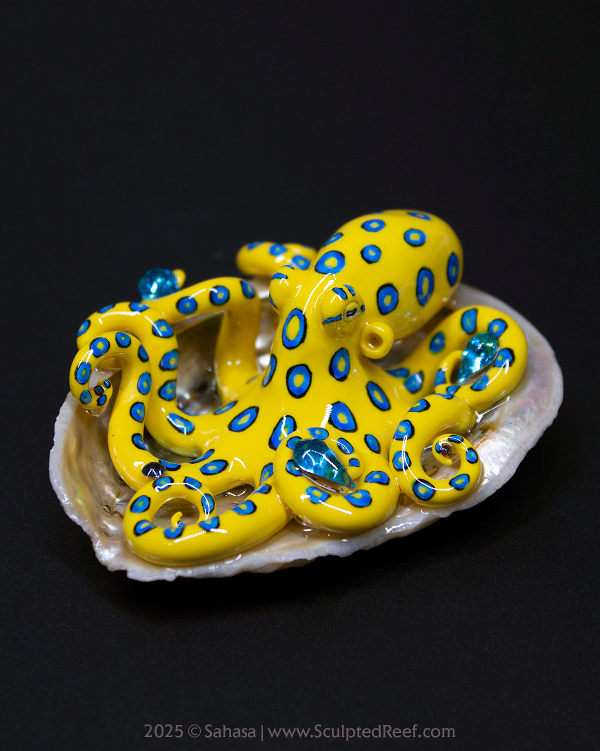 SOLI - Shelltopus - OOAK Blue Ringed Octopus Sculpture