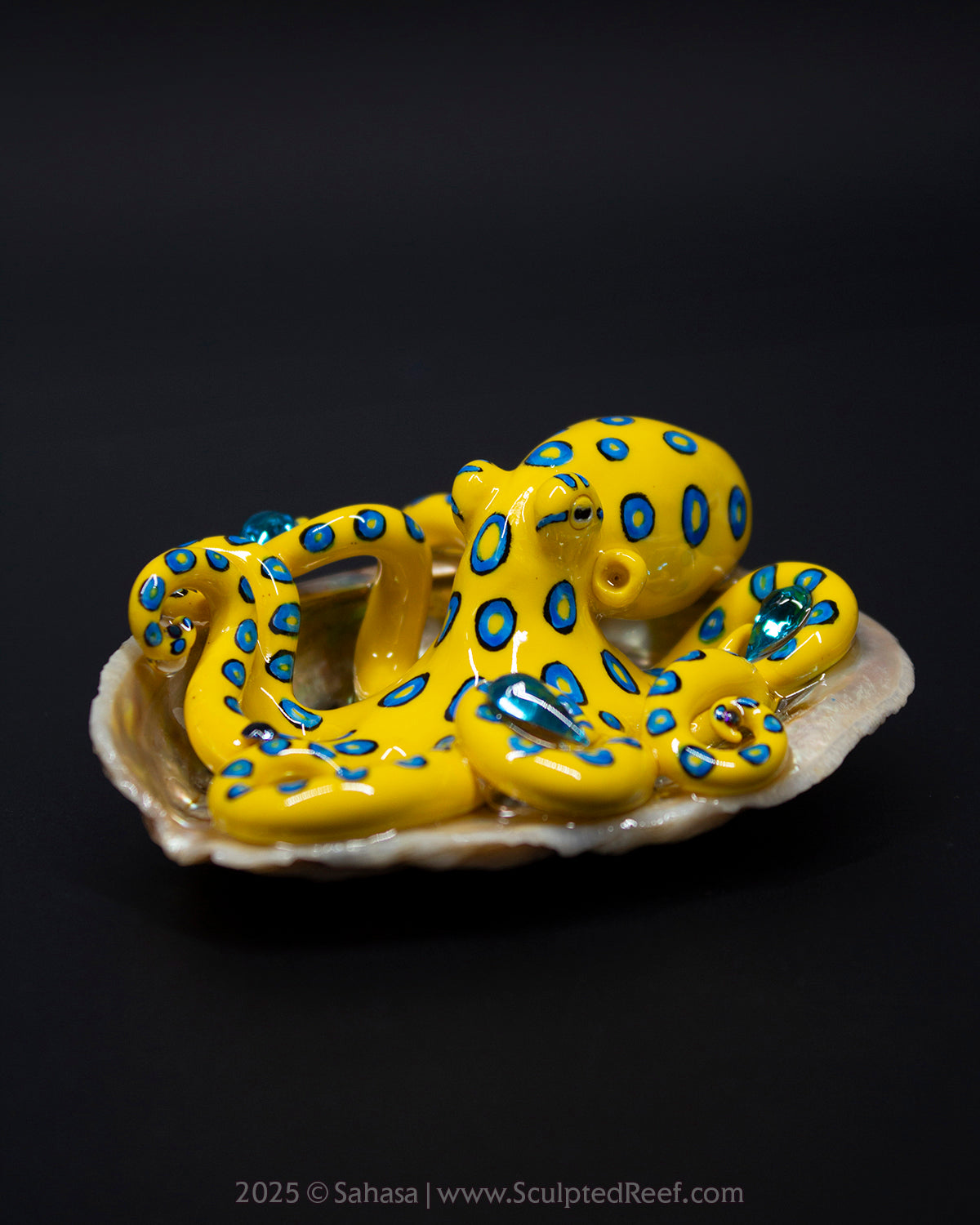 SOLI - Shelltopus - OOAK Blue Ringed Octopus Sculpture