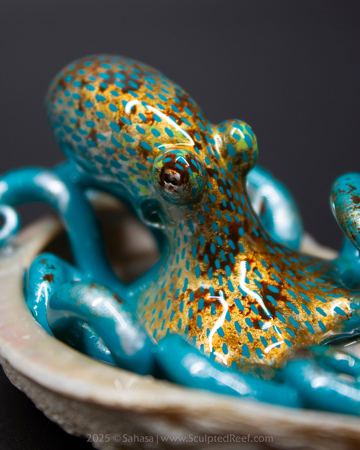 ARLETTE - Shelltopus - OOAK Caribbean Reef Octopus Sculpture