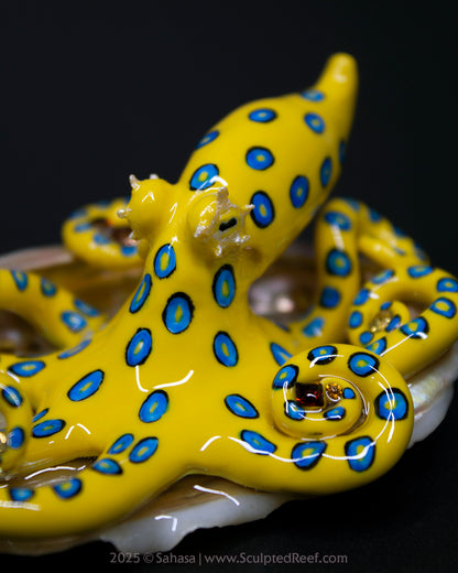 ZANTHA - Shelltopus - OOAK Blue Ringed Octopus Sculpture