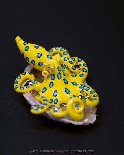 ZANTHA - Shelltopus - OOAK Blue Ringed Octopus Sculpture