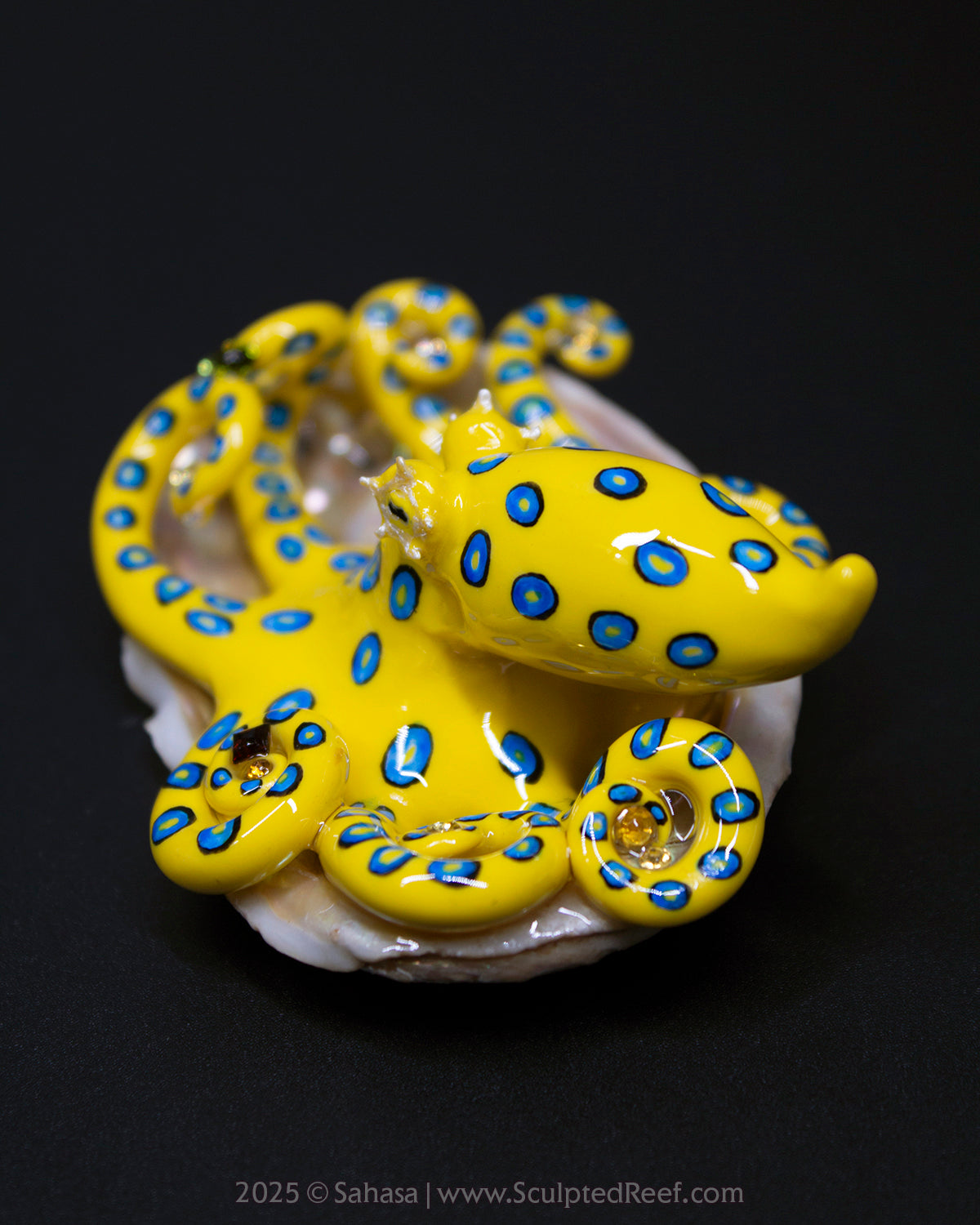 ZANTHA - Shelltopus - OOAK Blue Ringed Octopus Sculpture