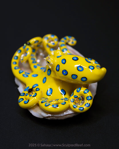 ZANTHA - Shelltopus - OOAK Blue Ringed Octopus Sculpture
