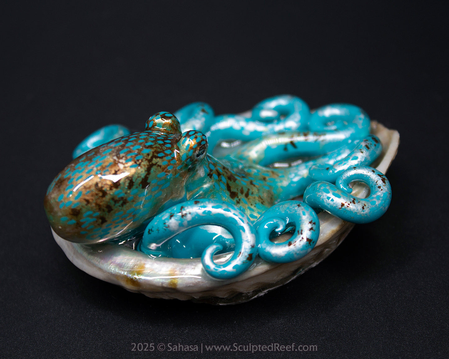 LIONEL - Shelltopus - OOAK Caribbean Reef Octopus Sculpture