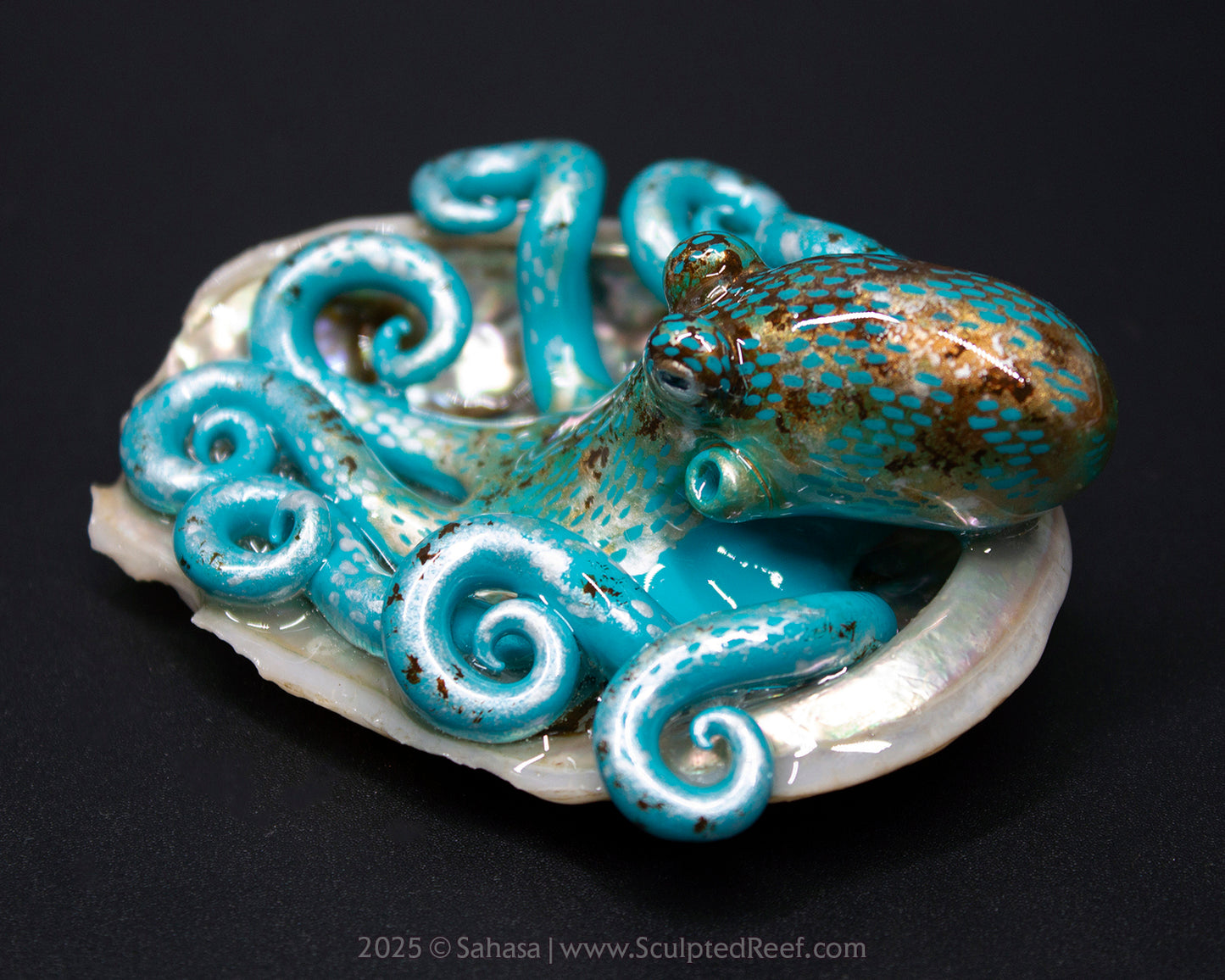 LIONEL - Shelltopus - OOAK Caribbean Reef Octopus Sculpture