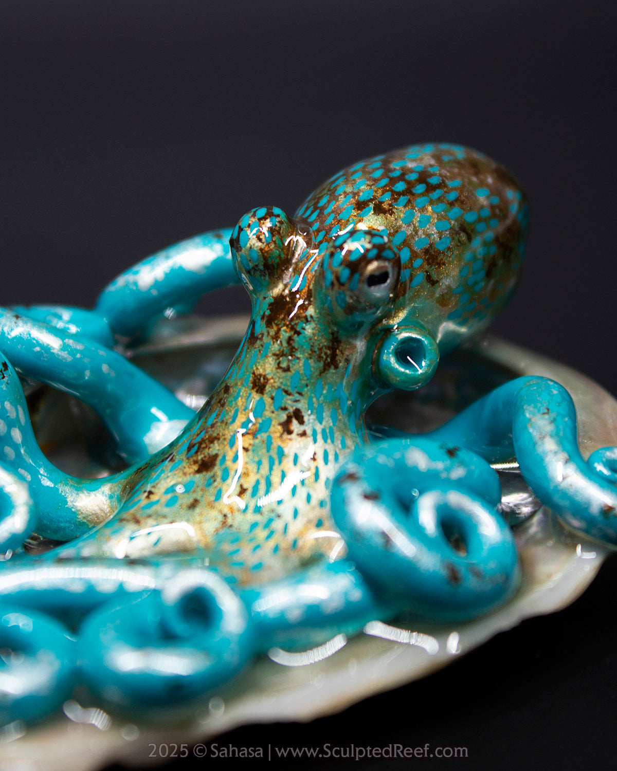 LIONEL - Shelltopus - OOAK Caribbean Reef Octopus Sculpture
