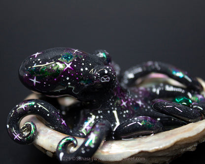 SIDRA - Shelltopus - OOAK Nebula Octopus Sculpture