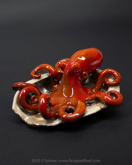 KODA - Shelltopus - OOAK Giant Pacific Octopus Sculpture