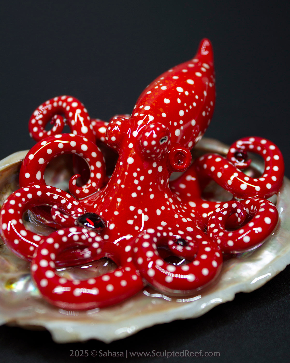VALENCIA - Shelltopus - OOAK Starry Night Octopus Sculpture