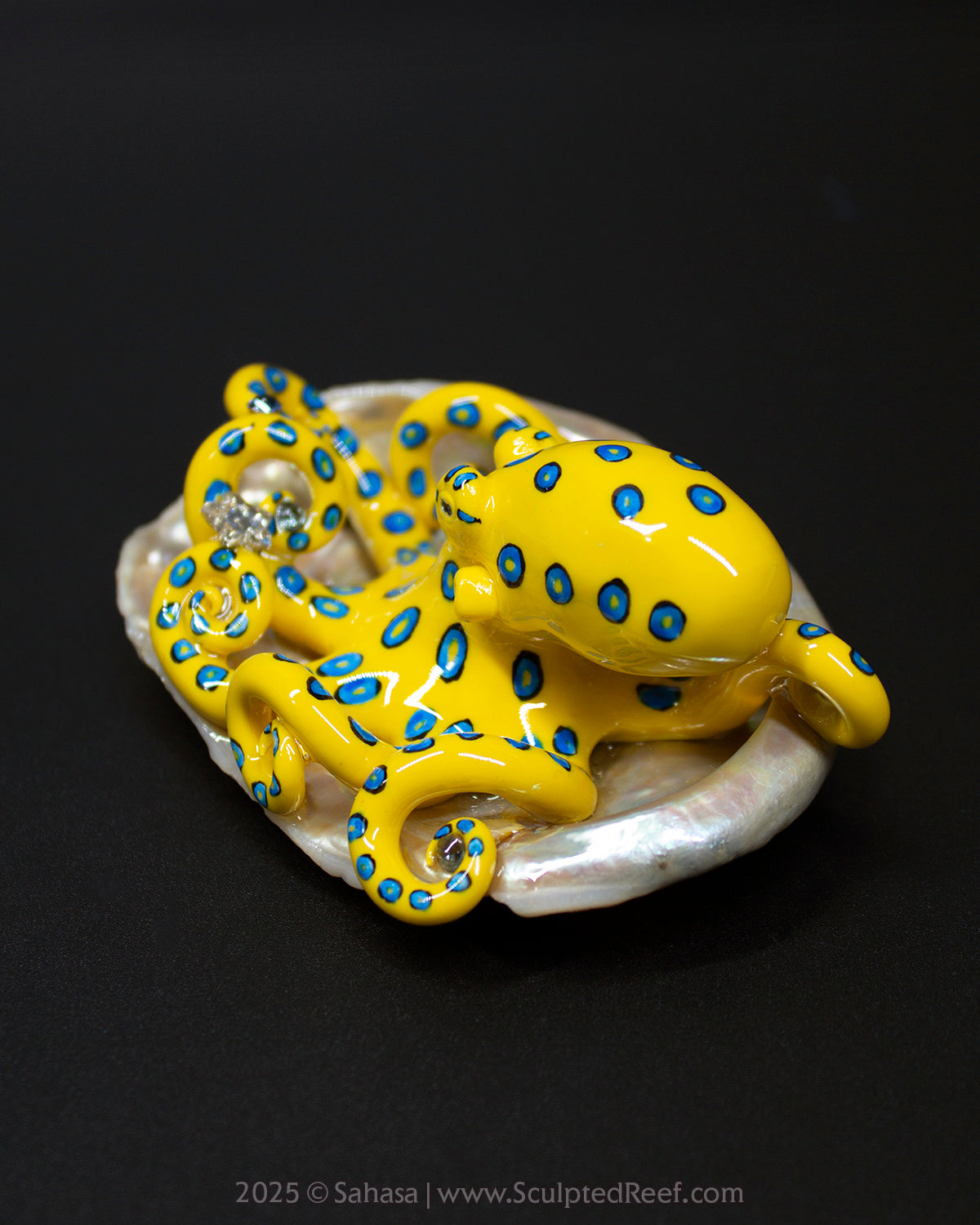 ORIANA - Shelltopus - OOAK Blue Ringed Octopus Sculpture