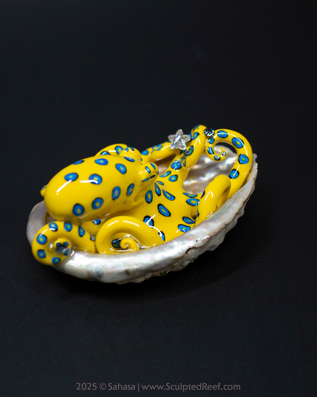 ORIANA - Shelltopus - OOAK Blue Ringed Octopus Sculpture