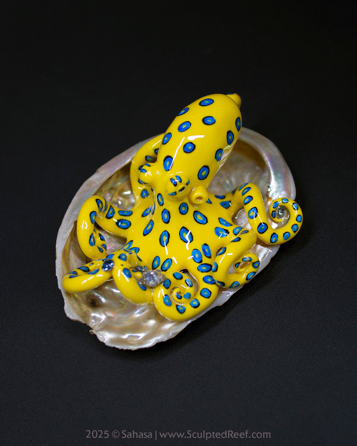 ORIANA - Shelltopus - OOAK Blue Ringed Octopus Sculpture