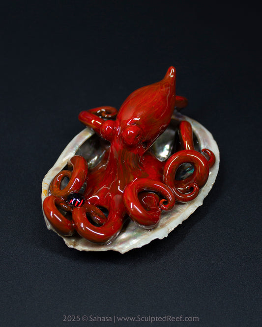MALEA - Shelltopus - OOAK Giant Pacific Octopus Sculpture