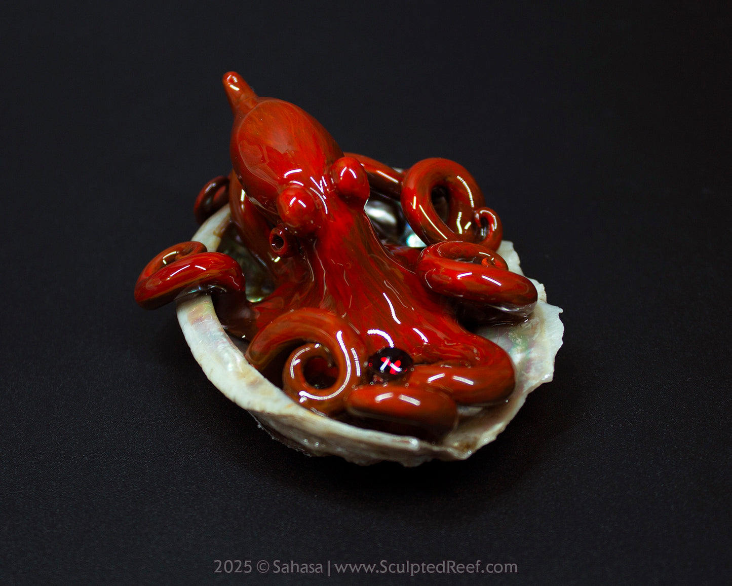 MALEA - Shelltopus - OOAK Giant Pacific Octopus Sculpture