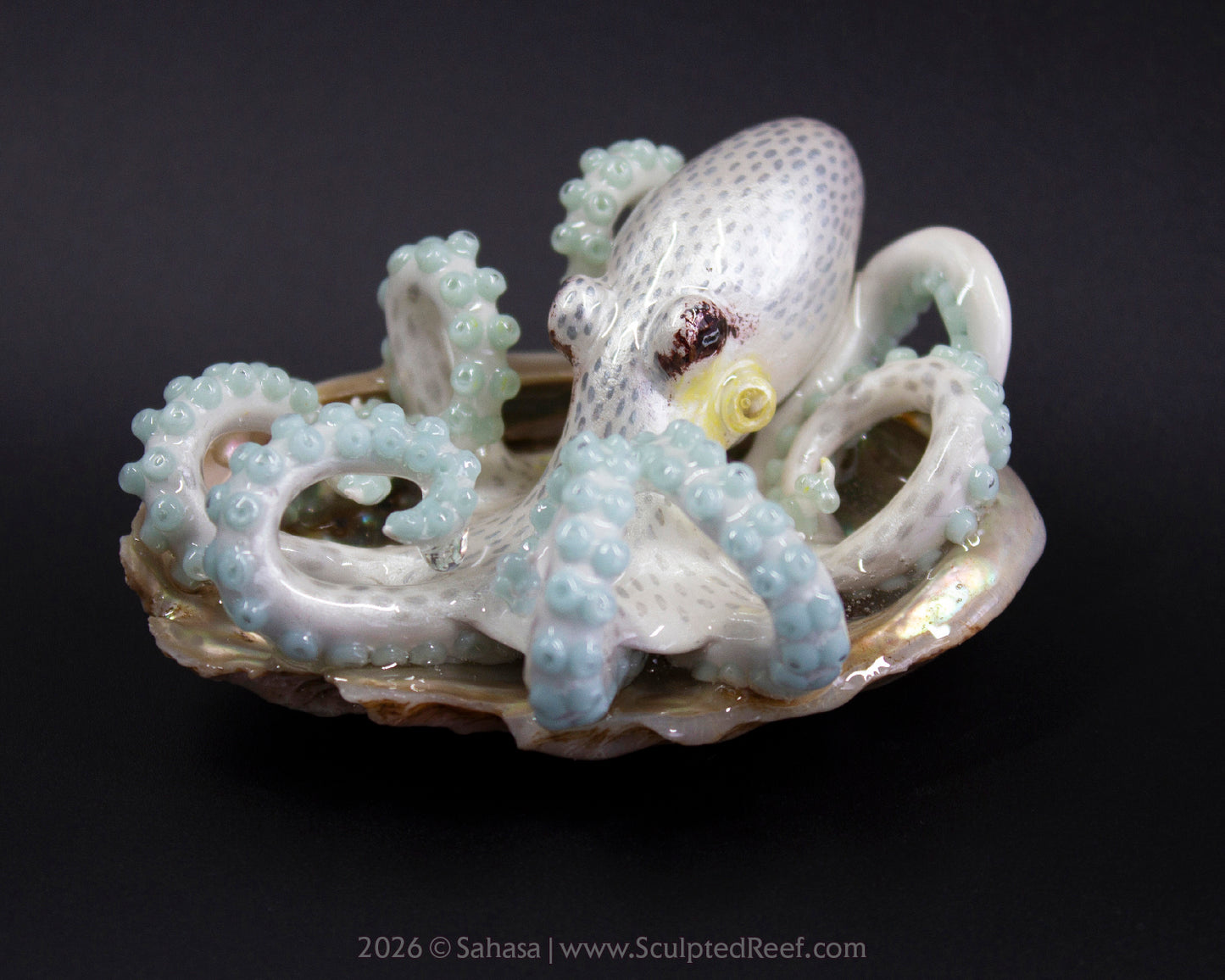 SARIYA - Shelltopus - OOAK Coconut Octopus Sculpture