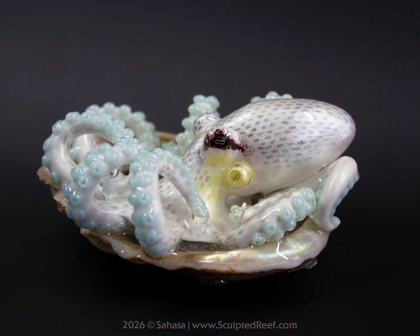SARIYA - Shelltopus - OOAK Coconut Octopus Sculpture
