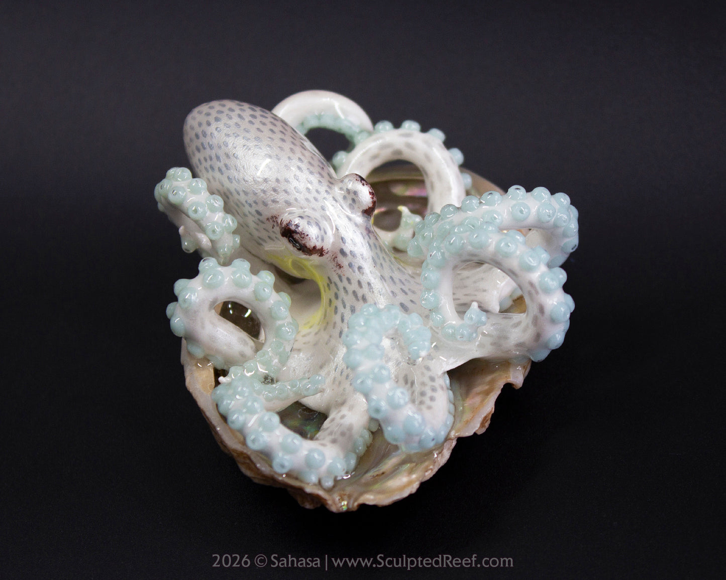 SARIYA - Shelltopus - OOAK Coconut Octopus Sculpture