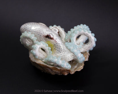 SARIYA - Shelltopus - OOAK Coconut Octopus Sculpture