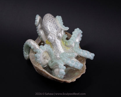 WULAN - Shelltopus - OOAK Coconut Octopus Sculpture