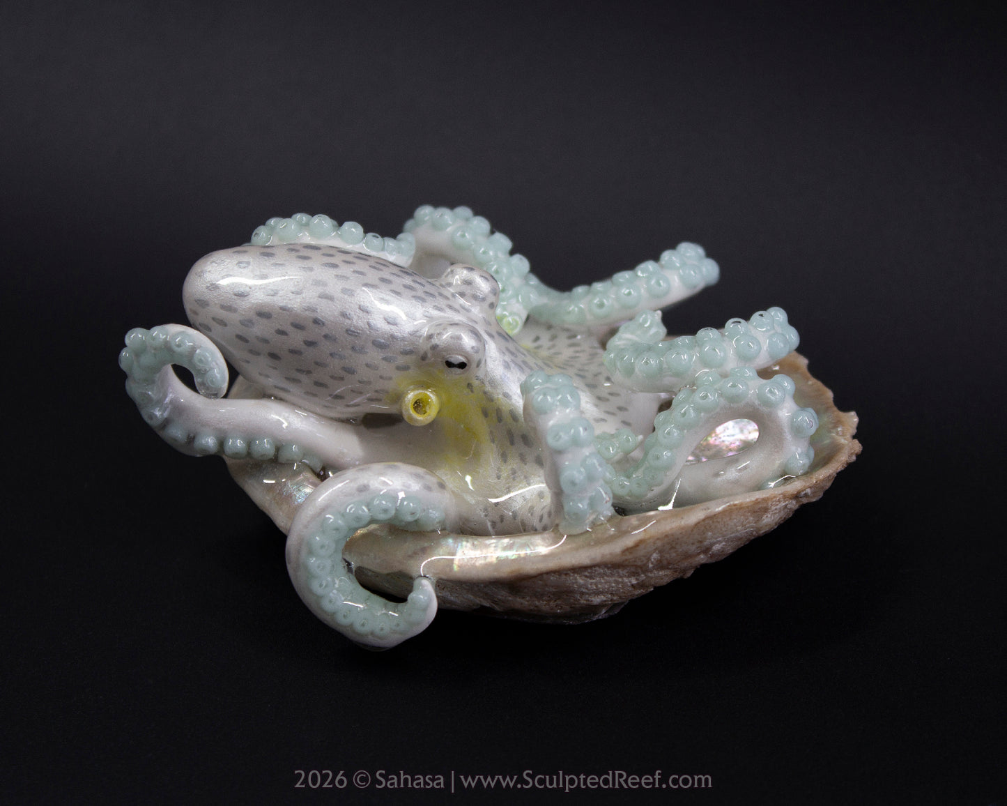 WULAN - Shelltopus - OOAK Coconut Octopus Sculpture