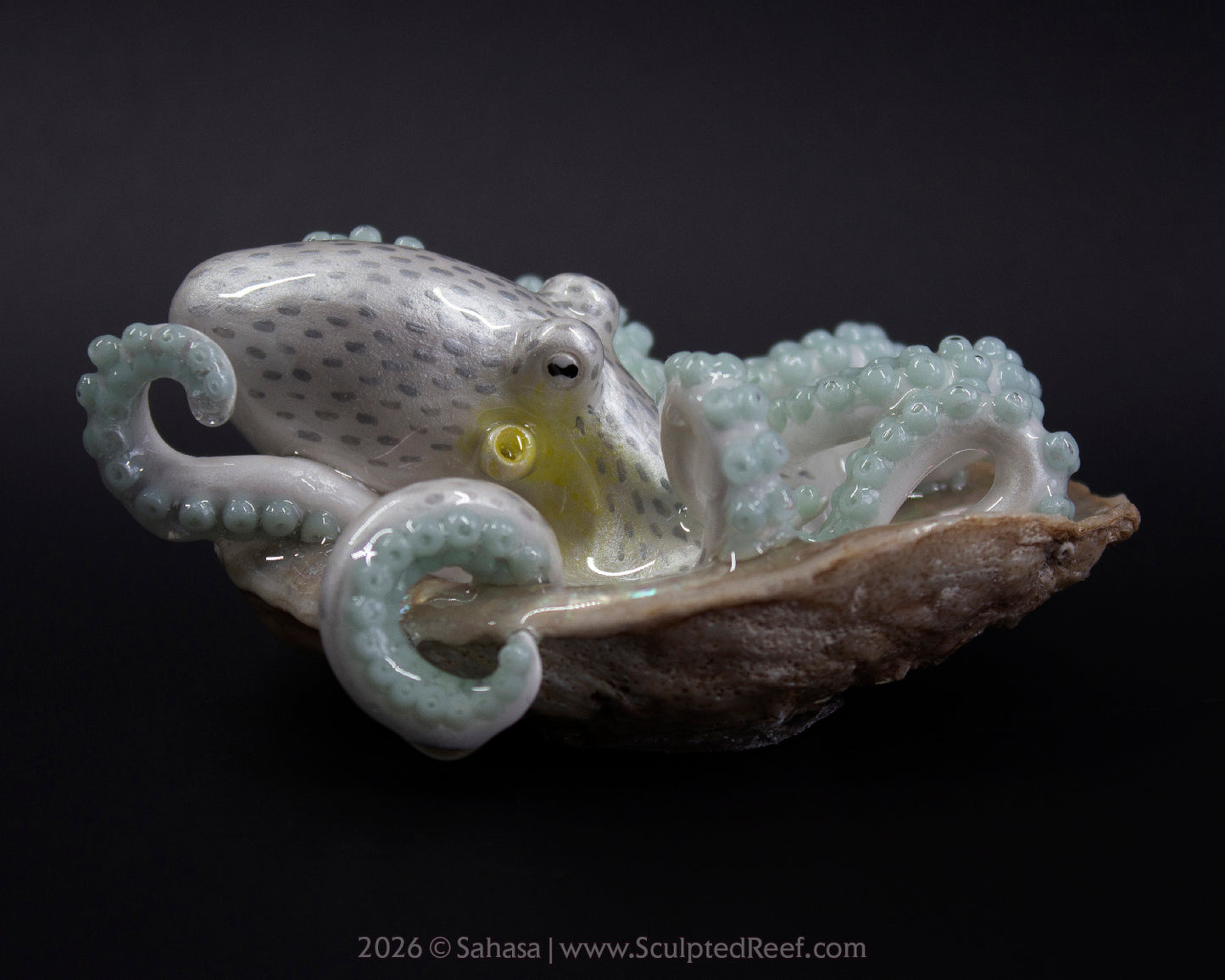 WULAN - Shelltopus - OOAK Coconut Octopus Sculpture
