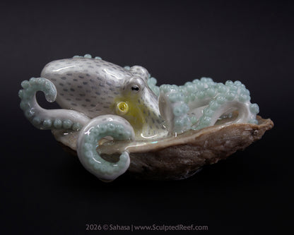 WULAN - Shelltopus - OOAK Coconut Octopus Sculpture