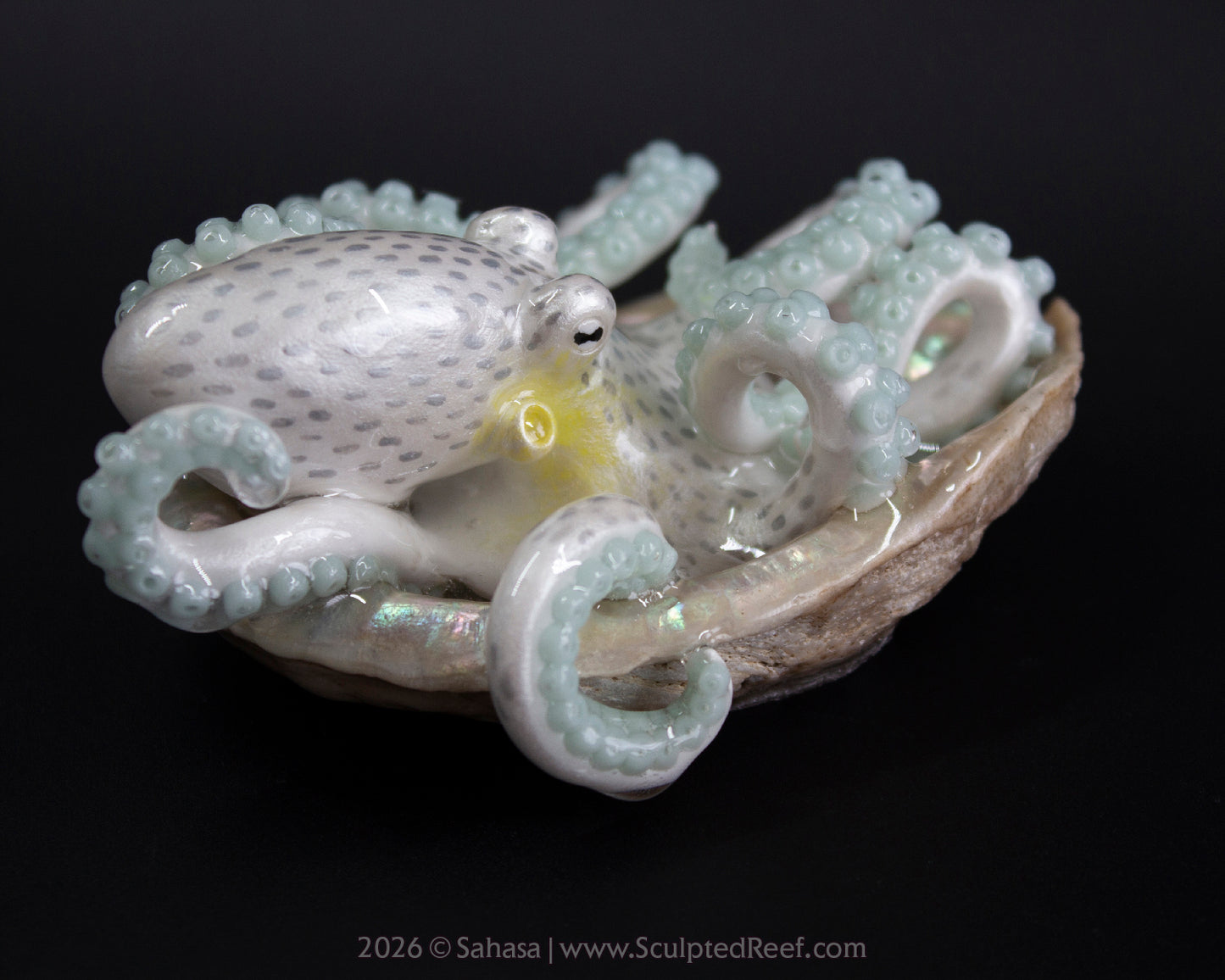 WULAN - Shelltopus - OOAK Coconut Octopus Sculpture
